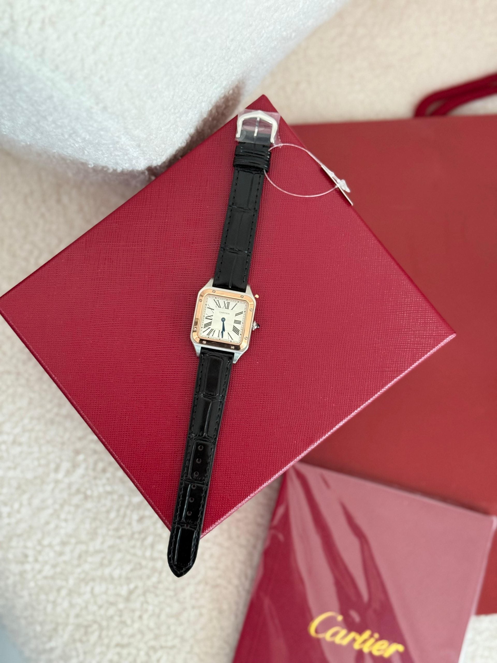 Cartier Santos Dumont Küçük Saat