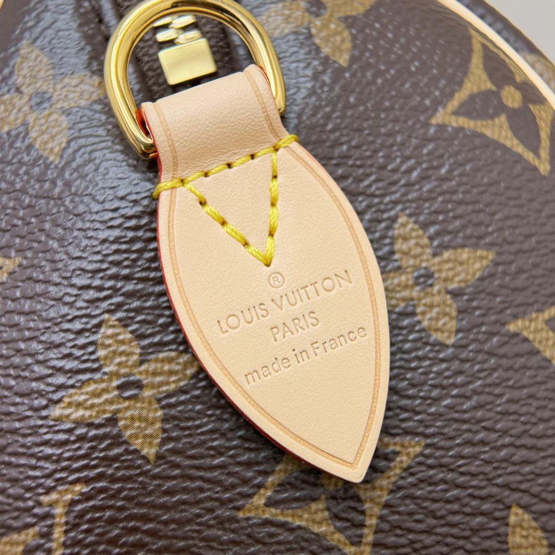 Speedy 20 - Glimmer of Luxury