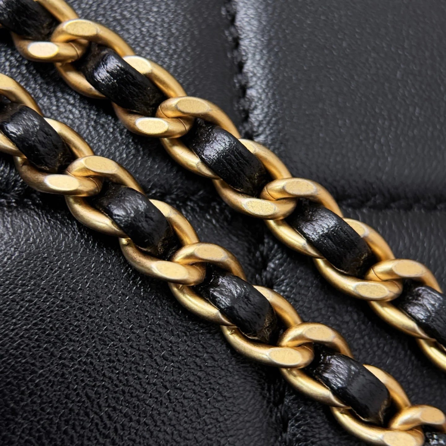 Erken İlkbahar Öğle Yemeği Kutusu Çantası Siyah Altın Donanım - Glimmer of Luxury