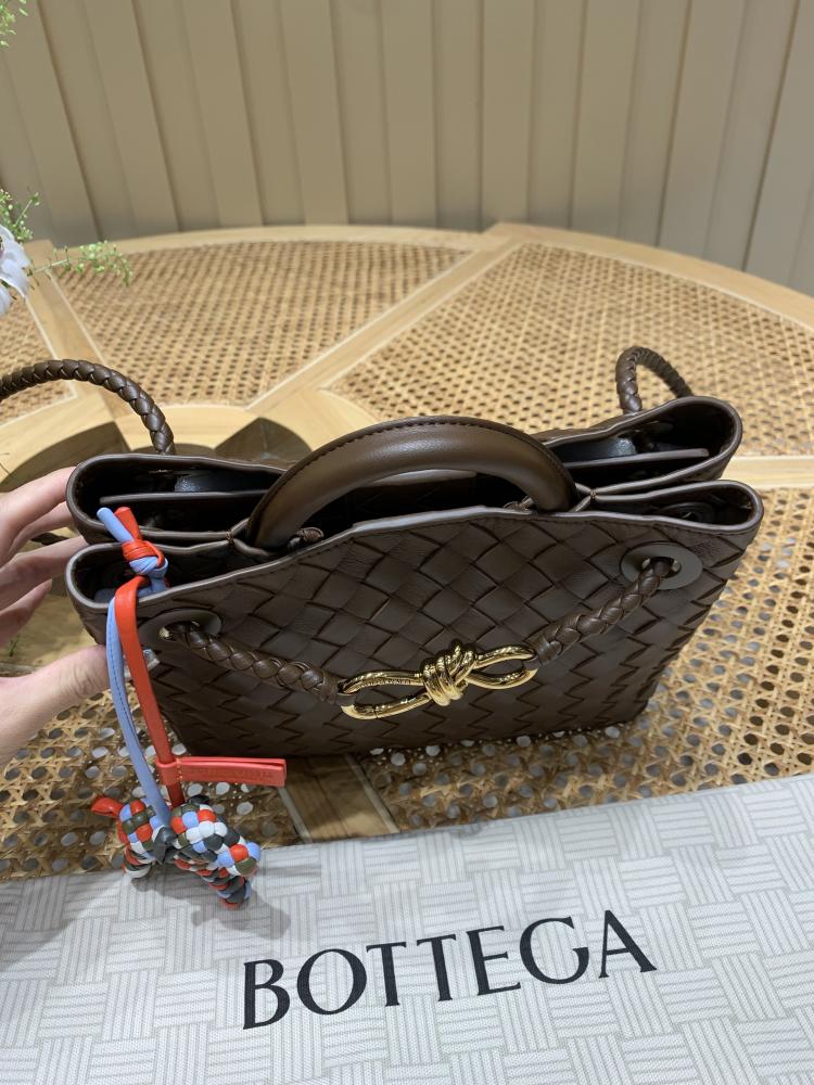 Bottega Veneta Small Andiamo Bag (Chocolate Brown)