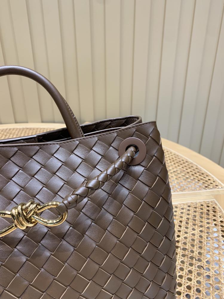Bottega Veneta Medium Andiamo Bag (Chocolate Brown) 