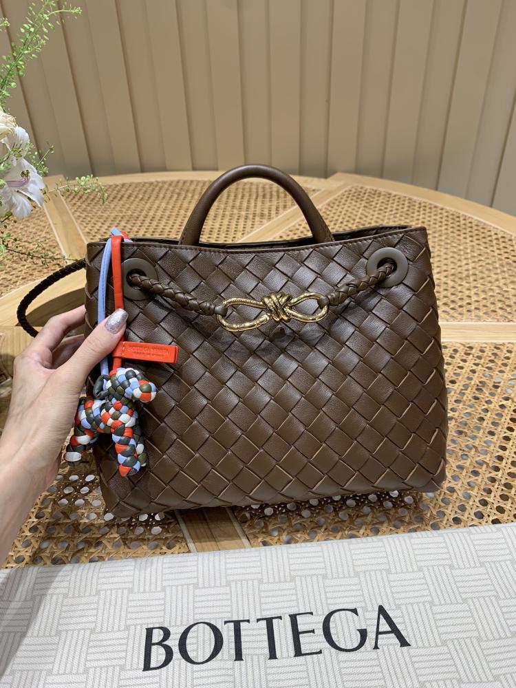 Bottega Veneta Small Andiamo Bag (Chocolate Brown)