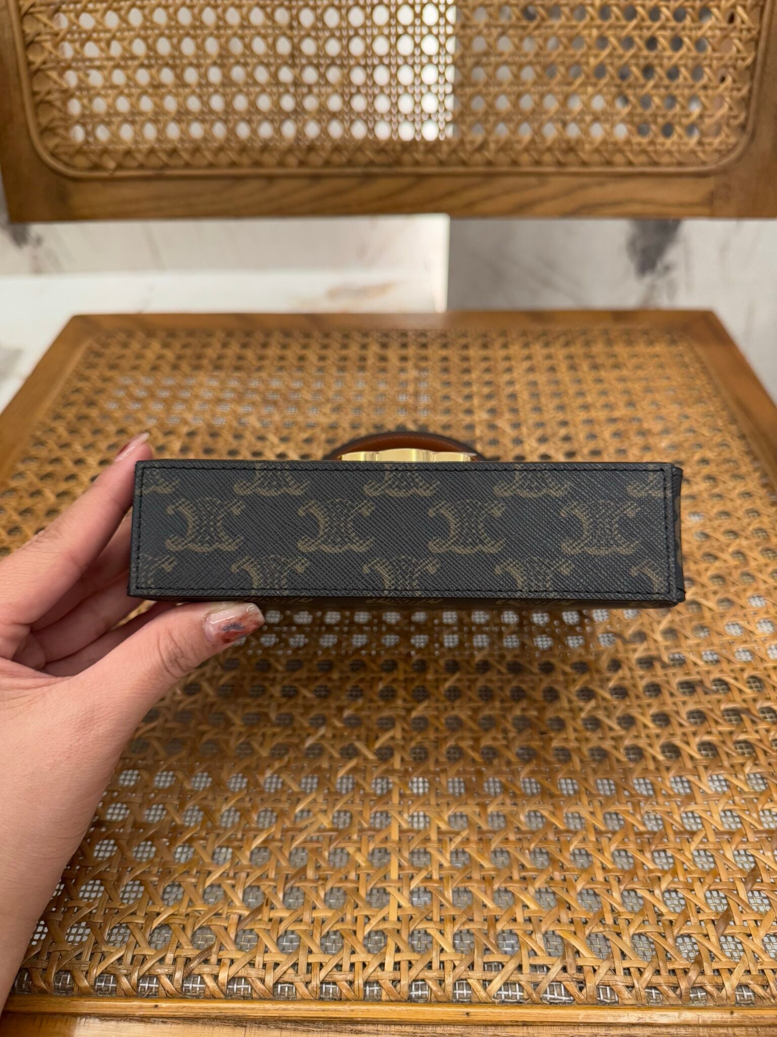 Celine Blandine 2025 Canvas and Calfskin 