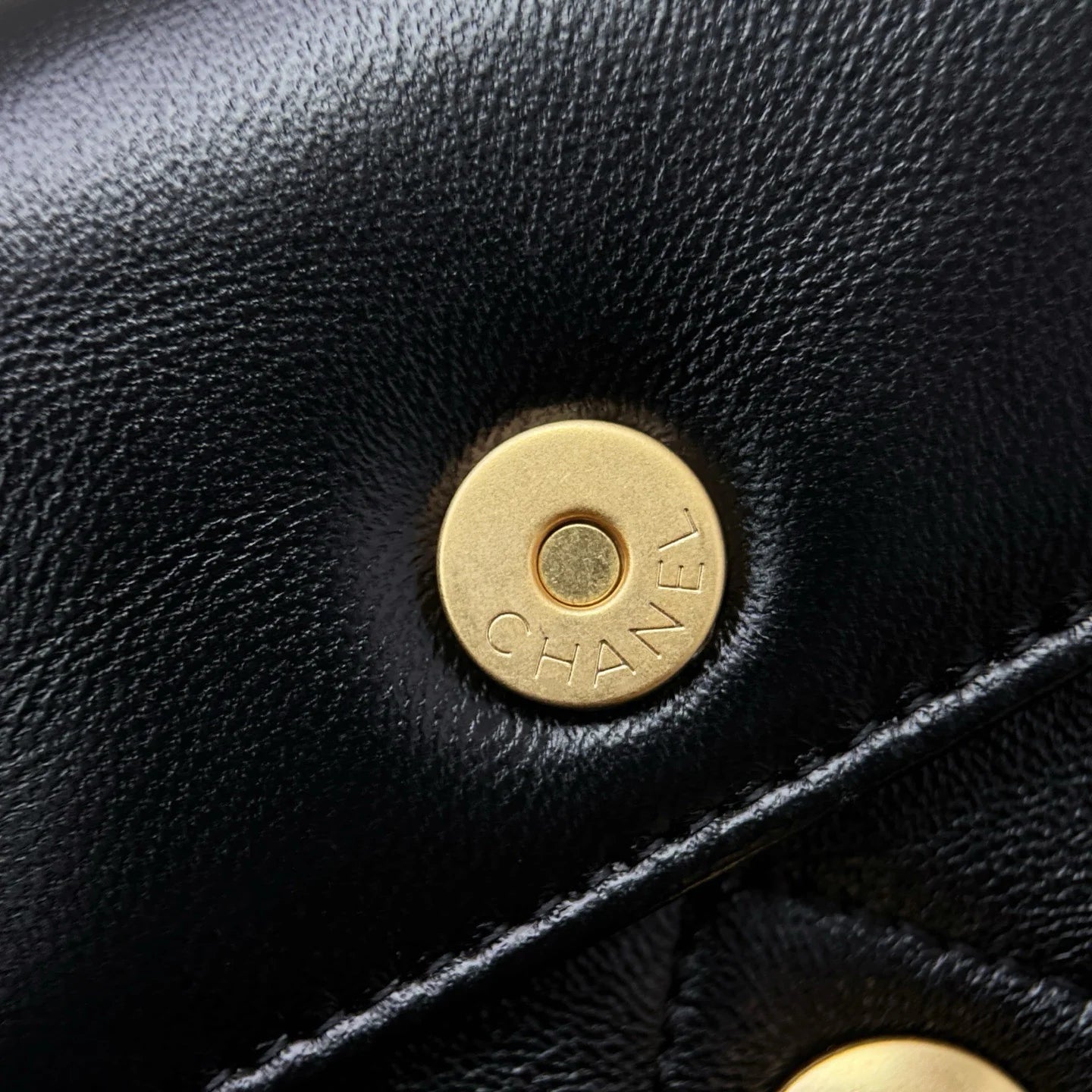 Erken İlkbahar Öğle Yemeği Kutusu Çantası Siyah Altın Donanım - Glimmer of Luxury