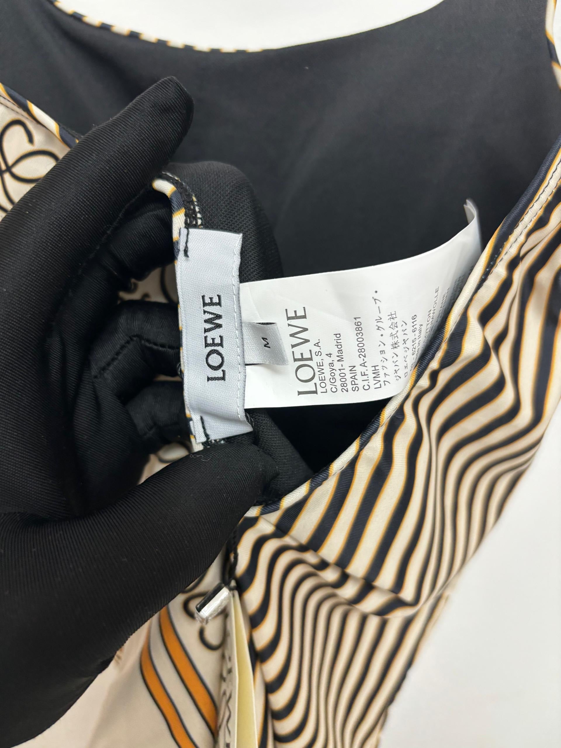 Loewe + Paula's Ibiza Printed Swimsuit