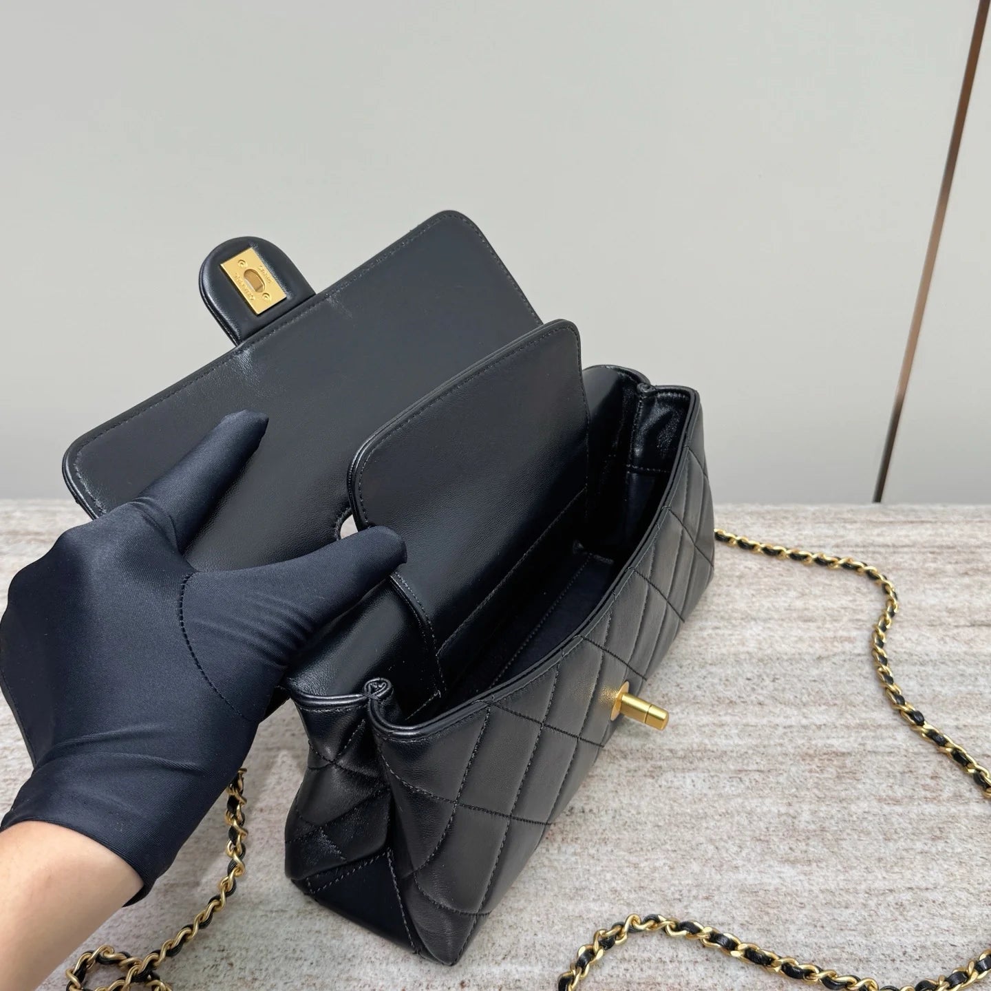 Erken İlkbahar Öğle Yemeği Kutusu Çantası Siyah Altın Donanım - Glimmer of Luxury