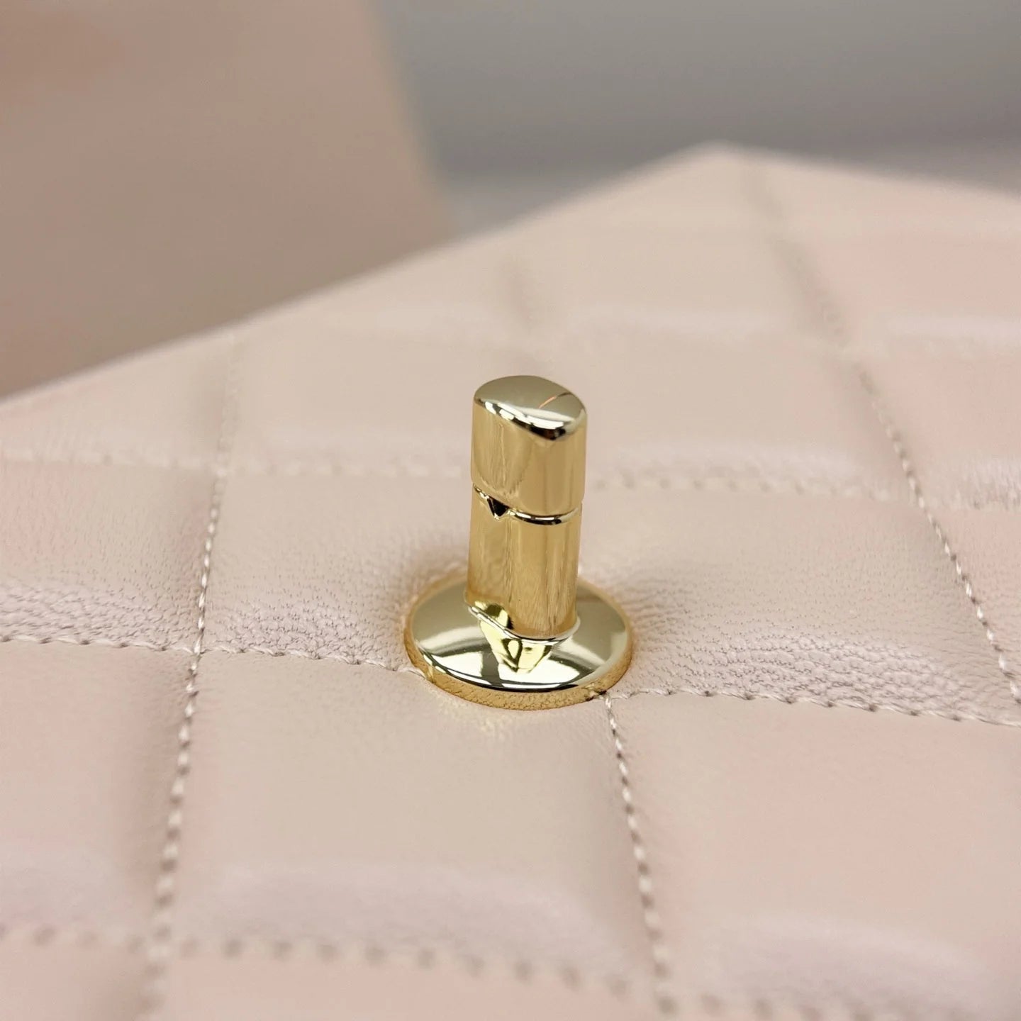 Chanel 25S Flap Bag