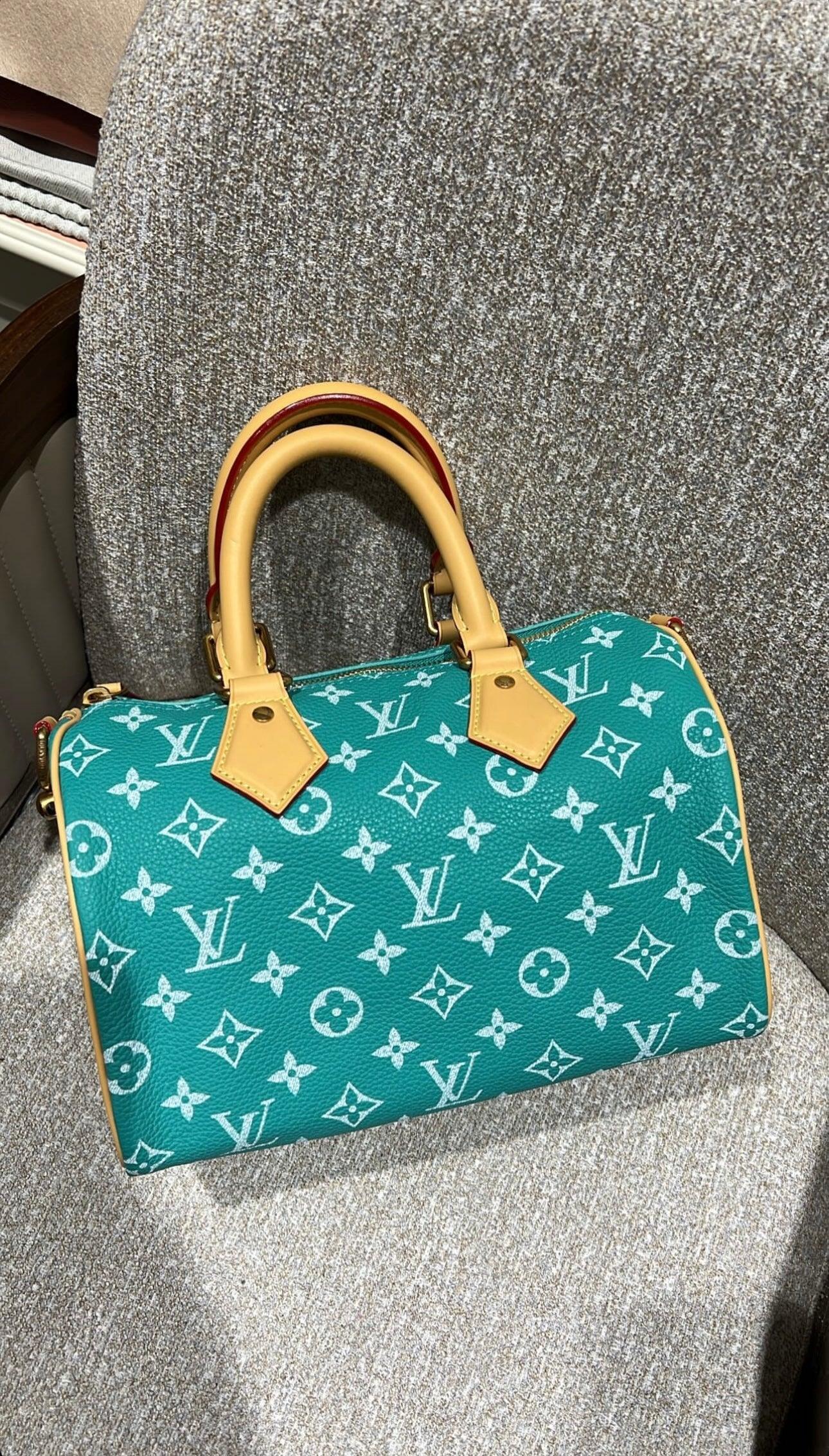 Louis Vuitton Speedy Bandoulière 25 - Glimmer of Luxury