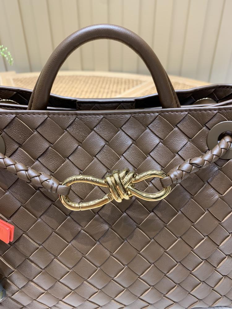 Bottega Veneta Small Andiamo Bag (Chocolate Brown)