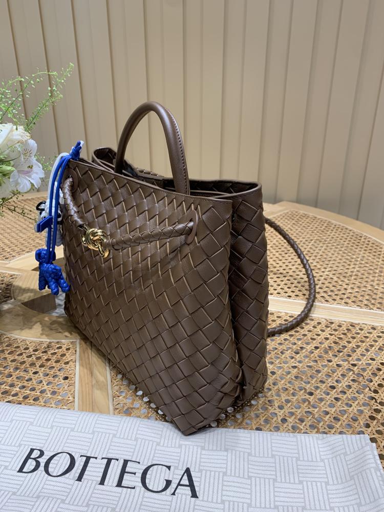 Bottega Veneta Medium Andiamo Bag (Chocolate Brown) 