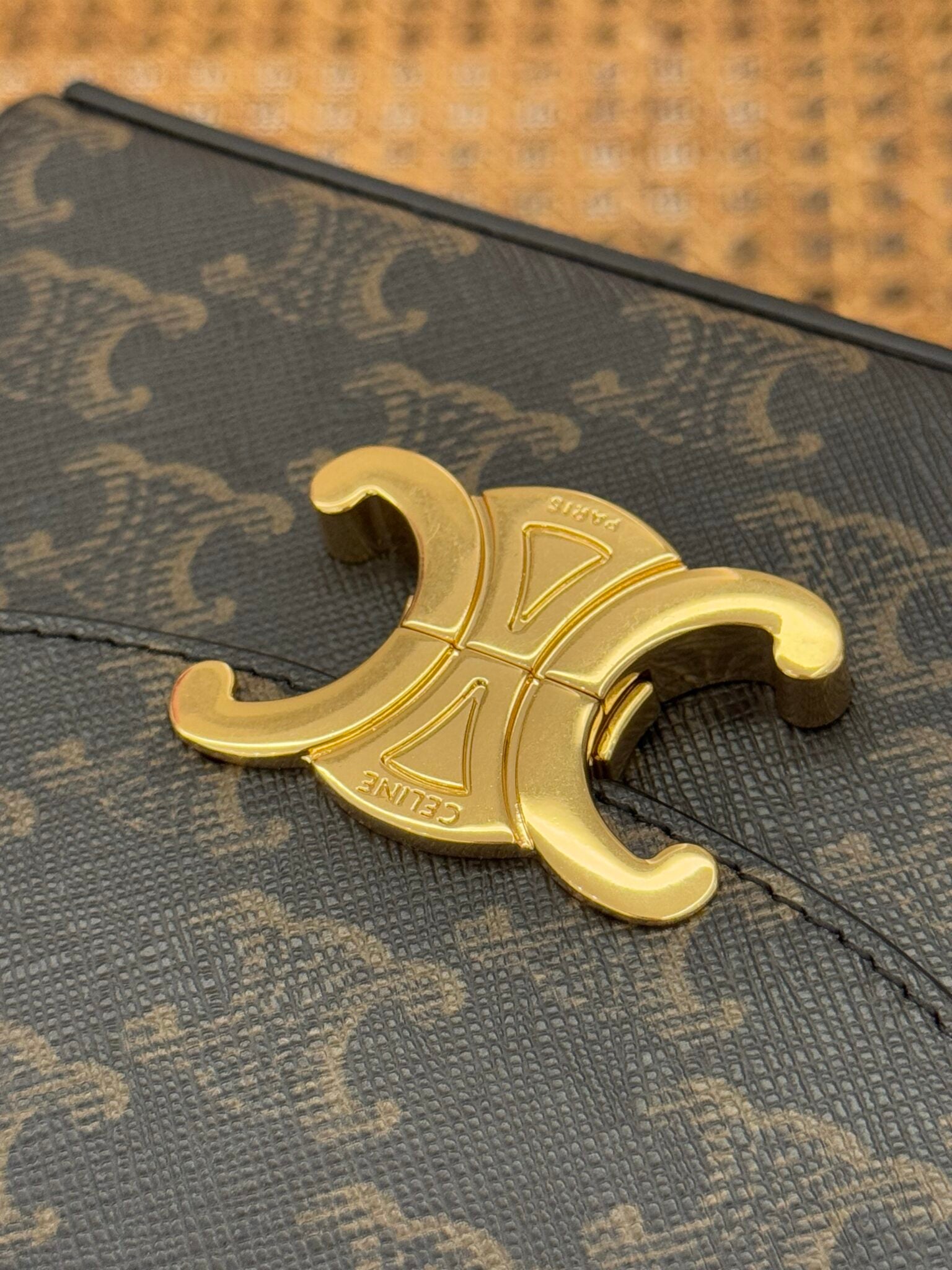 Celine Blandine 2025 Canvas and Calfskin 