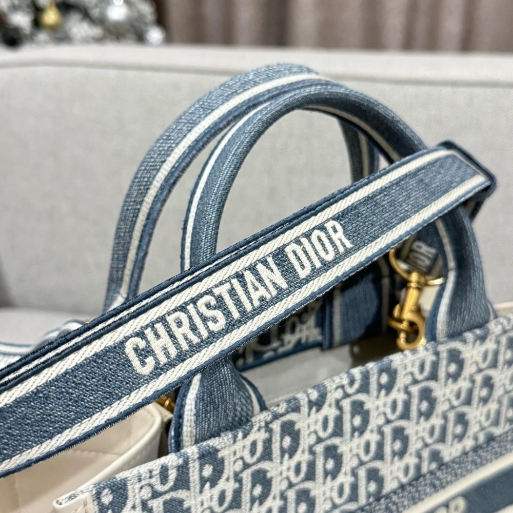 Christian Dior Blue Book Tote Medium