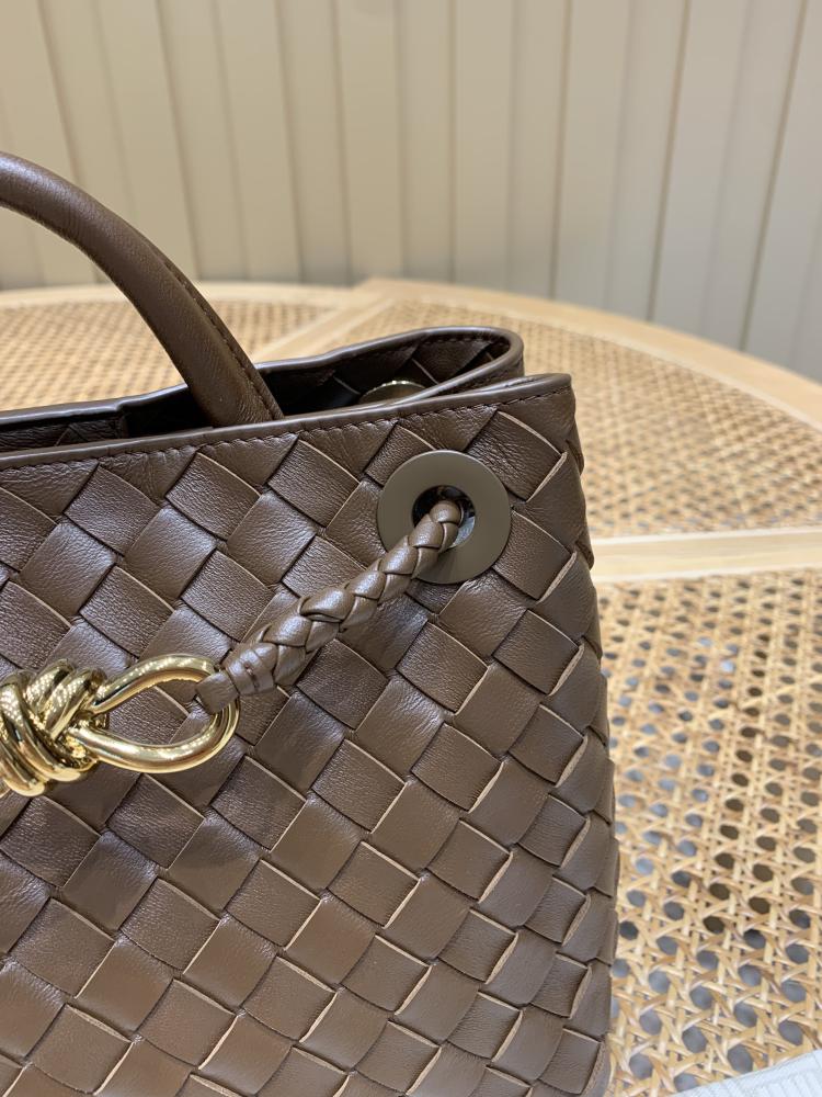 Bottega Veneta Small Andiamo Bag (Chocolate Brown)