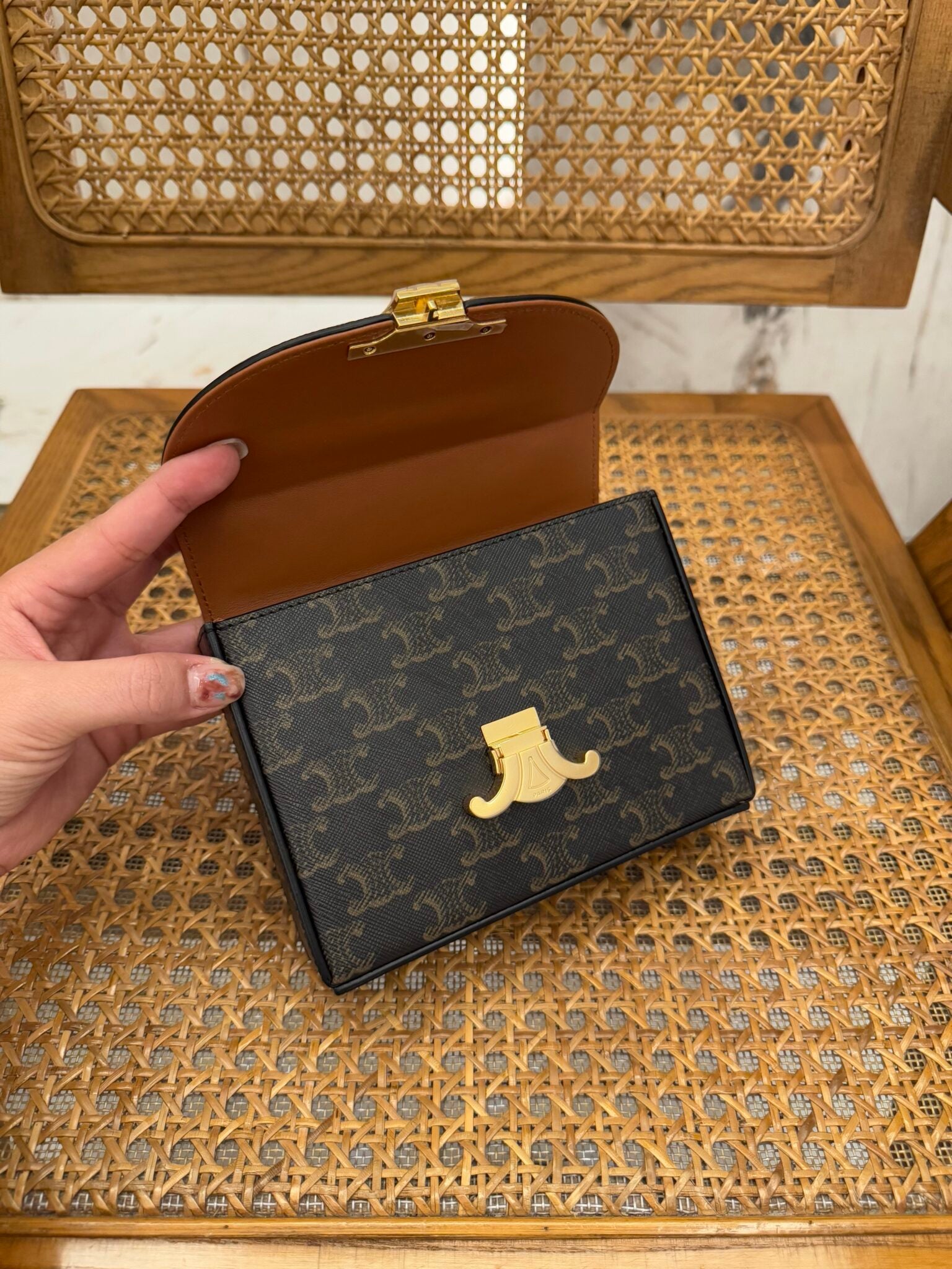 Celine Blandine 2025 Canvas and Calfskin 