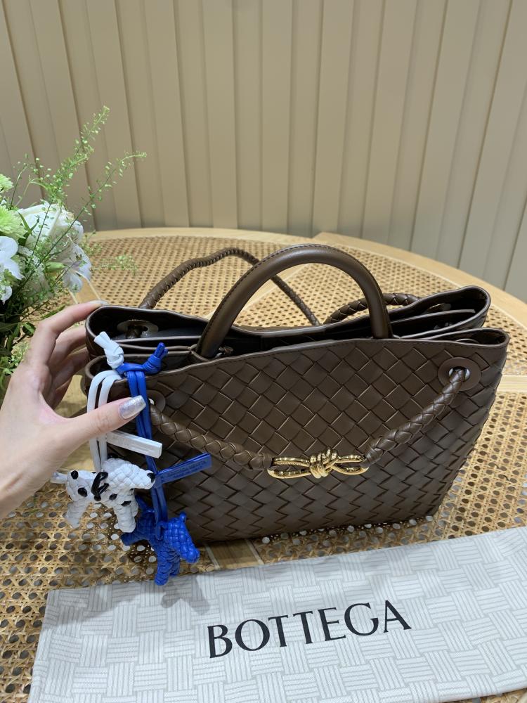 Bottega Veneta Medium Andiamo Bag (Chocolate Brown) 