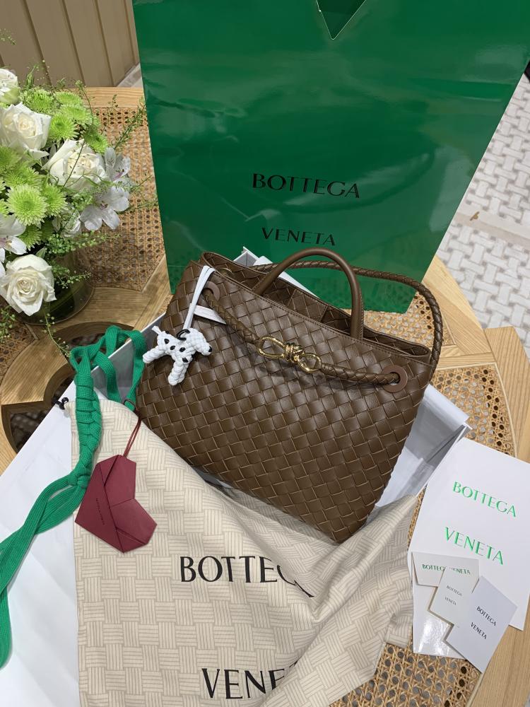 Bottega Veneta Medium Andiamo Bag (Chocolate Brown) 