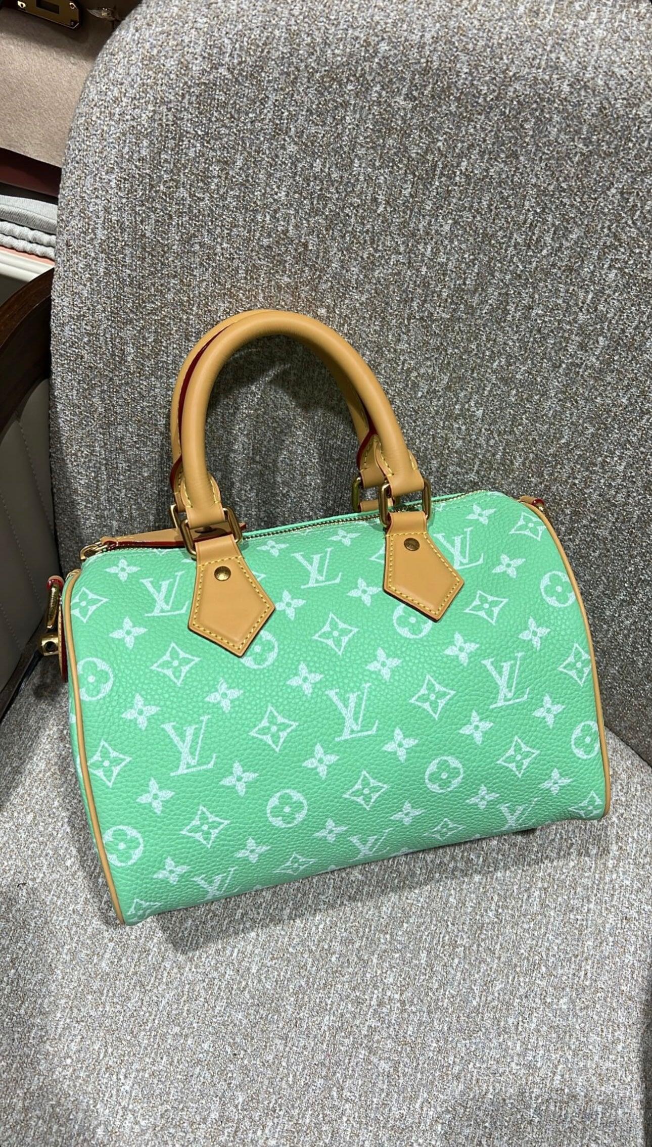 Louis Vuitton Speedy Bandoulière 25 - Glimmer of Luxury