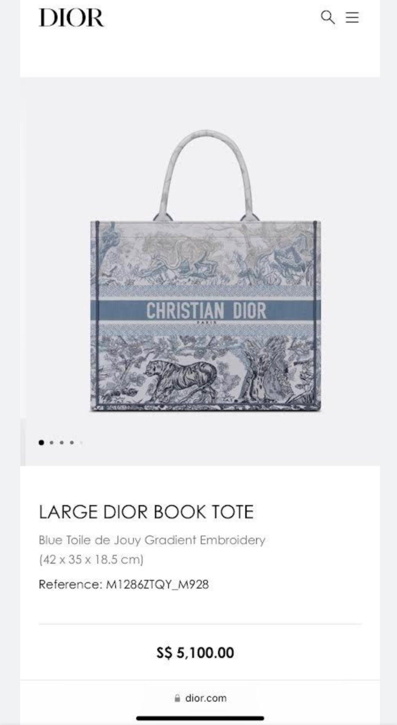 Christian Dior Büyük Mavi Toile de Jouy Degrade Nakış - Glimmer of Luxury