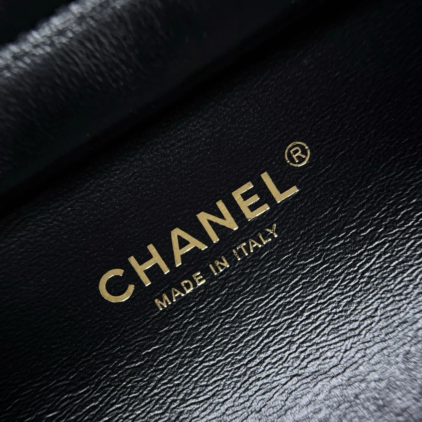 Erken İlkbahar Öğle Yemeği Kutusu Çantası Siyah Altın Donanım - Glimmer of Luxury