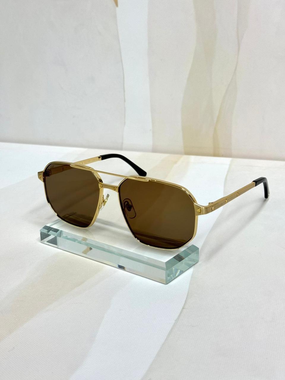 CT0462S Santos Güneş Gözlüğü - Glimmer of Luxury