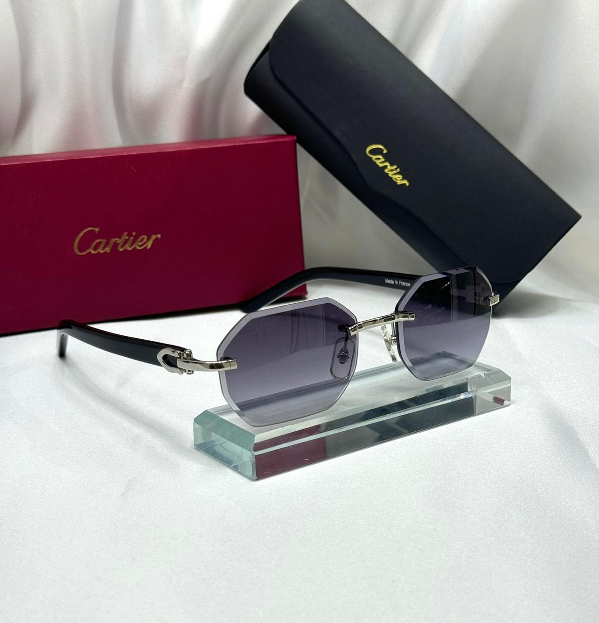 CT 0439S C Uzatılmış Güneş Gözlüğü - Glimmer of Luxury