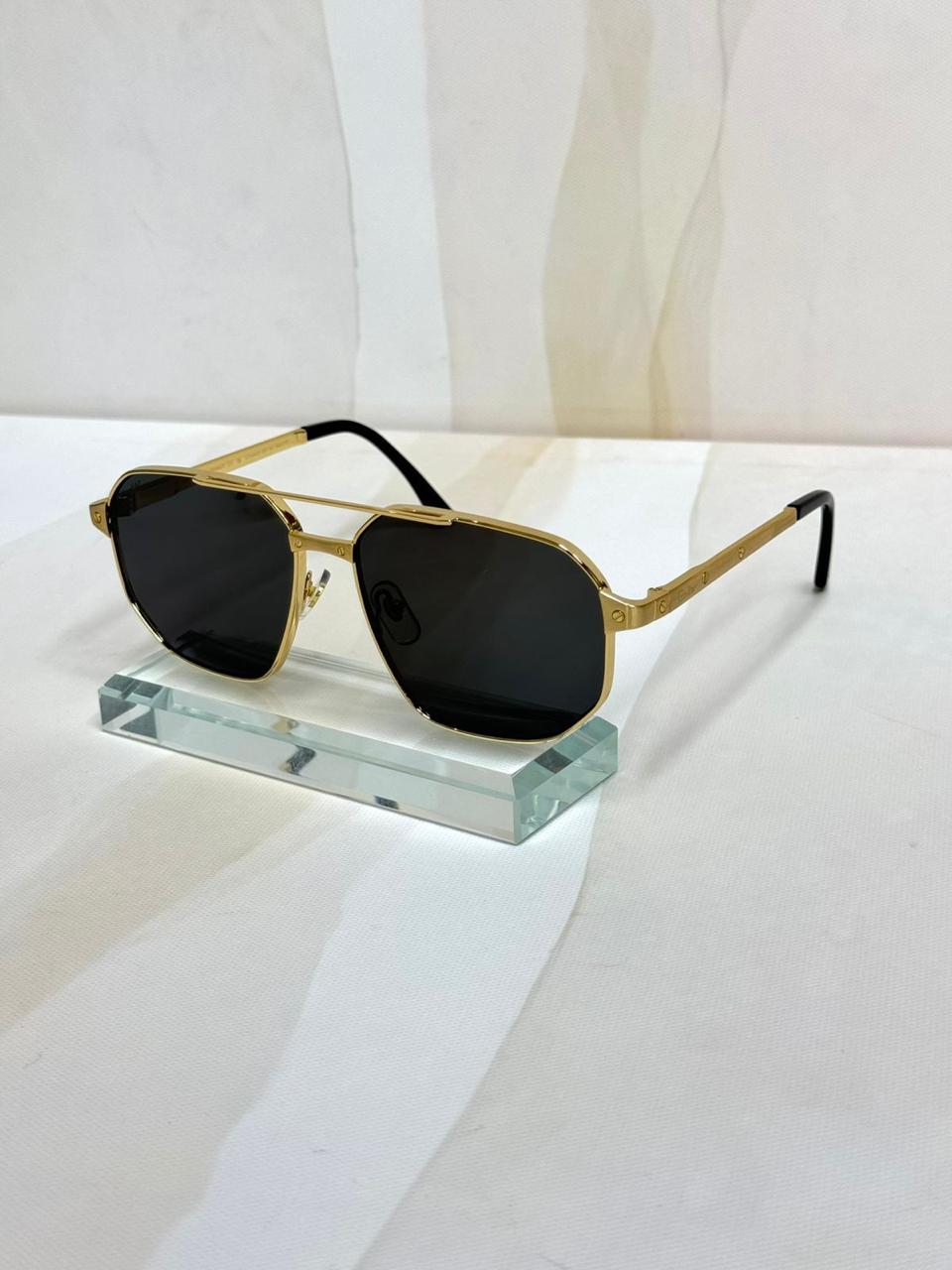 CT0462S Santos Güneş Gözlüğü - Glimmer of Luxury