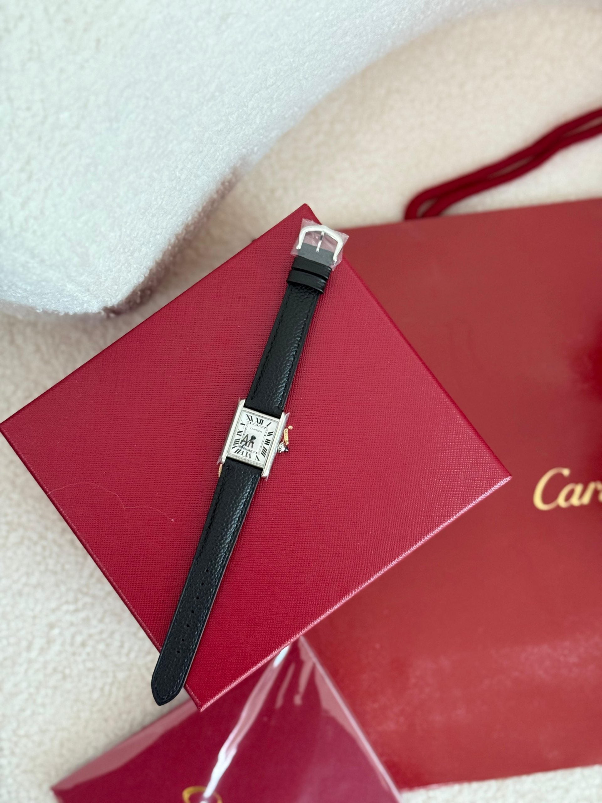 Cartier Solo XL Ref WSTA0040 Stainless Steel