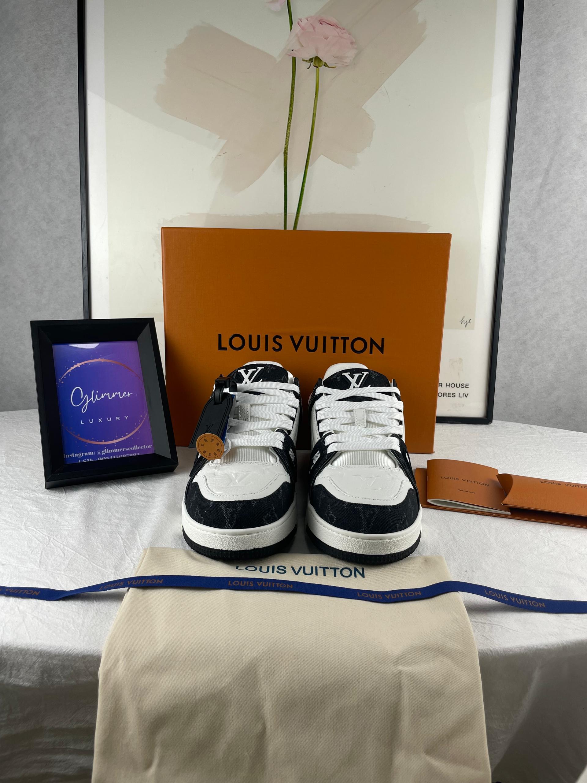 Louis Vuitton Training Shoes