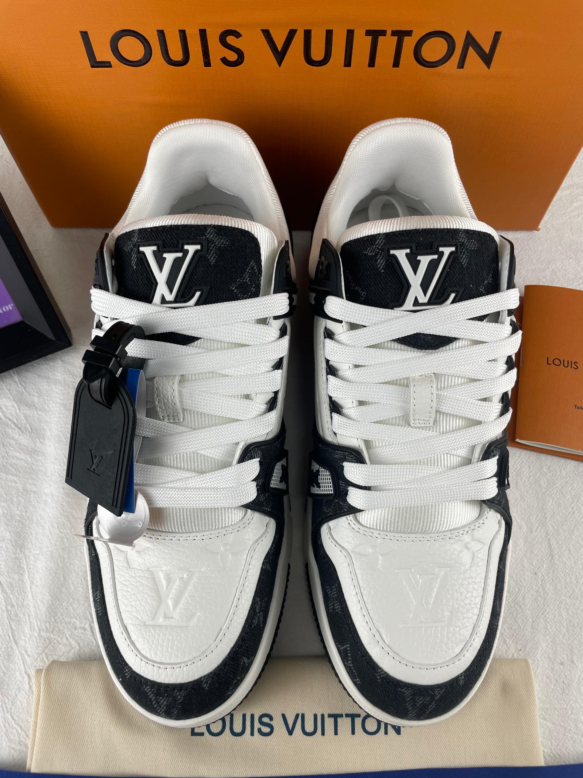 Louis Vuitton Training Shoes
