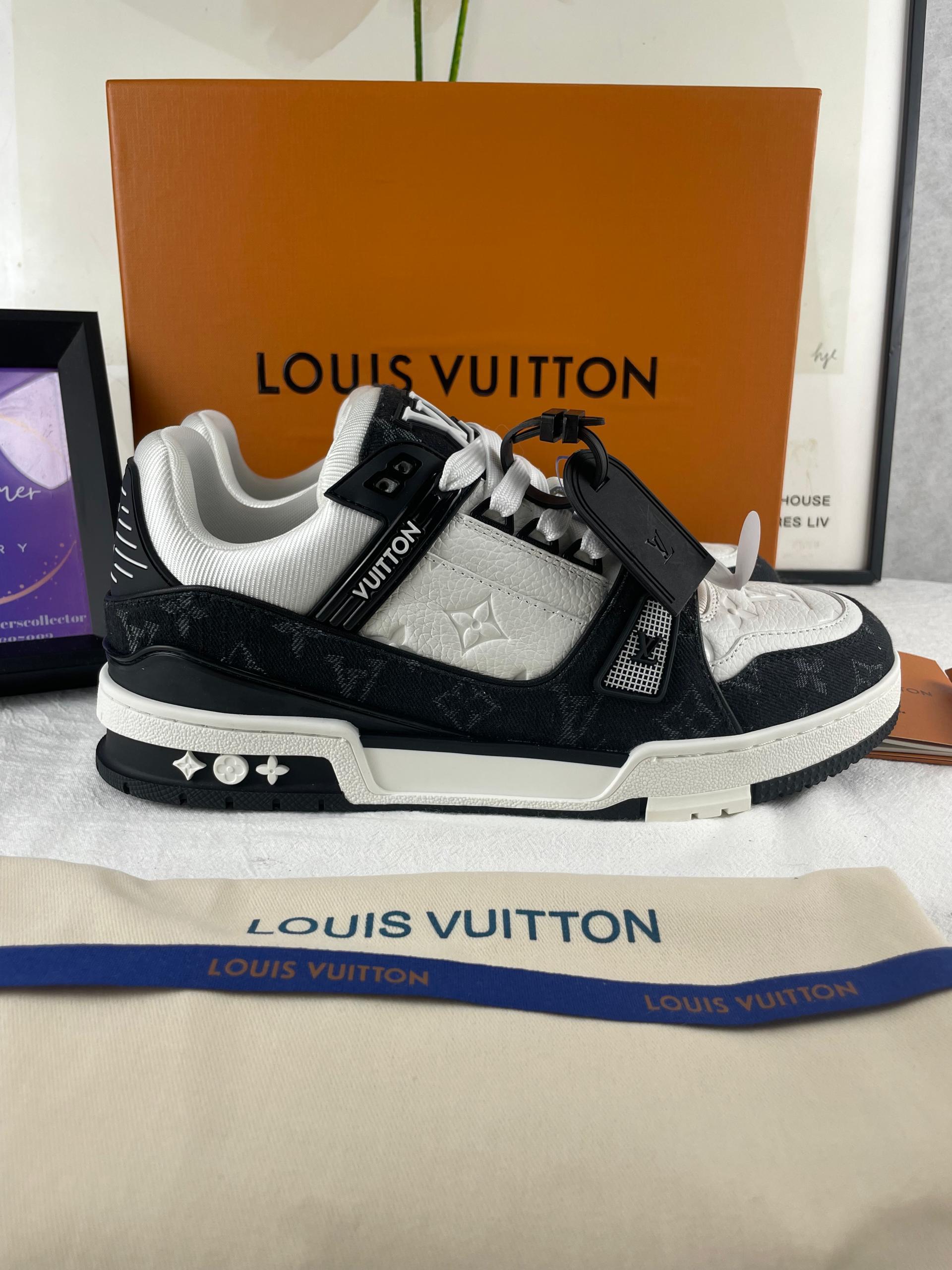 Louis Vuitton Training Shoes
