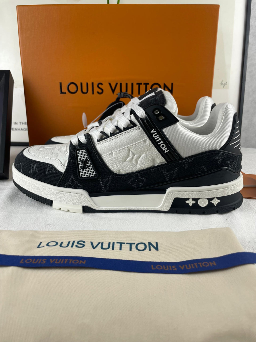Louis Vuitton Training Shoes