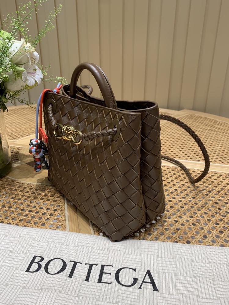 Bottega Veneta Small Andiamo Bag (Chocolate Brown)