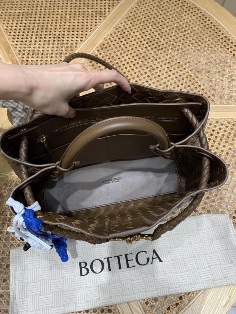 Bottega Veneta Medium Andiamo Bag (Chocolate Brown) 