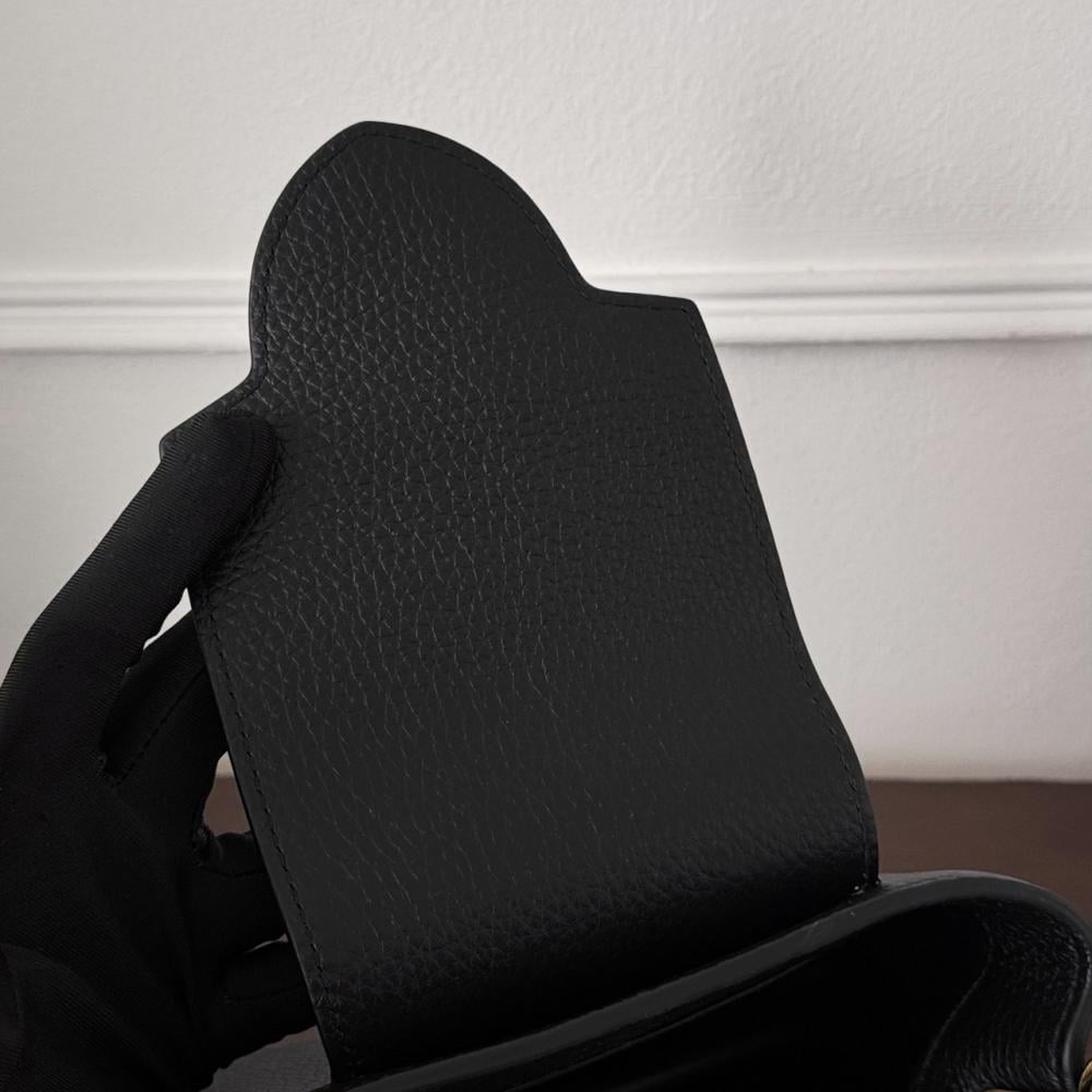 LV M56669 Capucines Mini