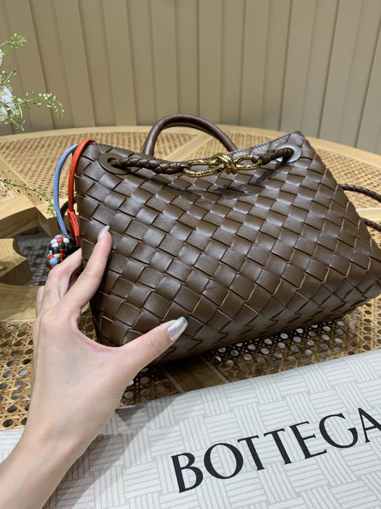 Bottega Veneta Small Andiamo Bag (Chocolate Brown)