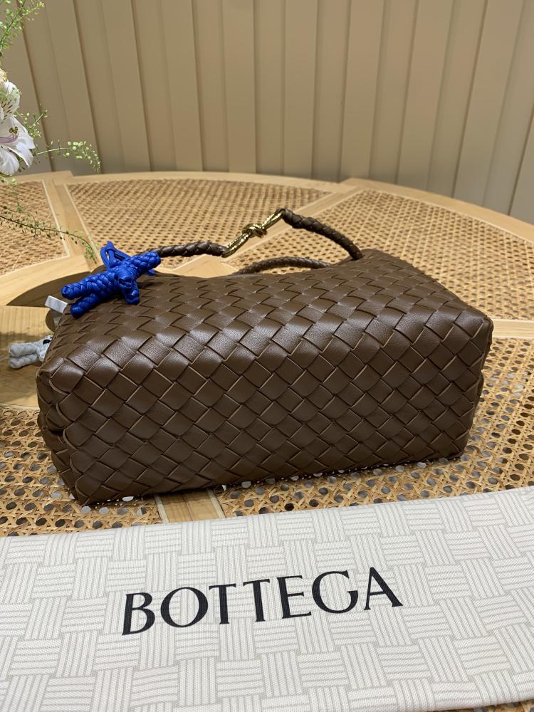 Bottega Veneta Medium Andiamo Bag (Chocolate Brown) 