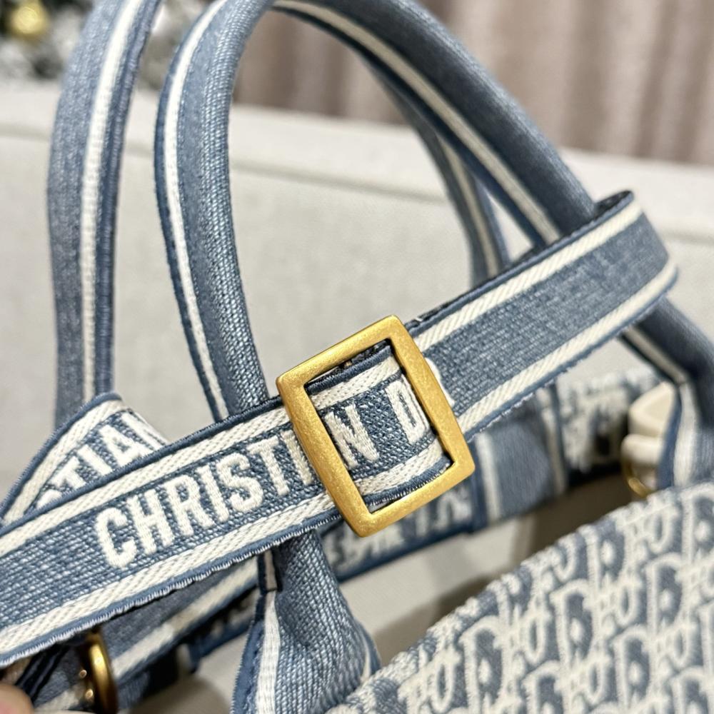 Christian Dior Blue Book Tote Medium
