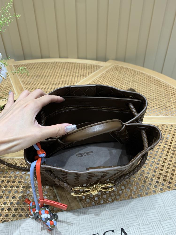 Bottega Veneta Small Andiamo Bag (Chocolate Brown)