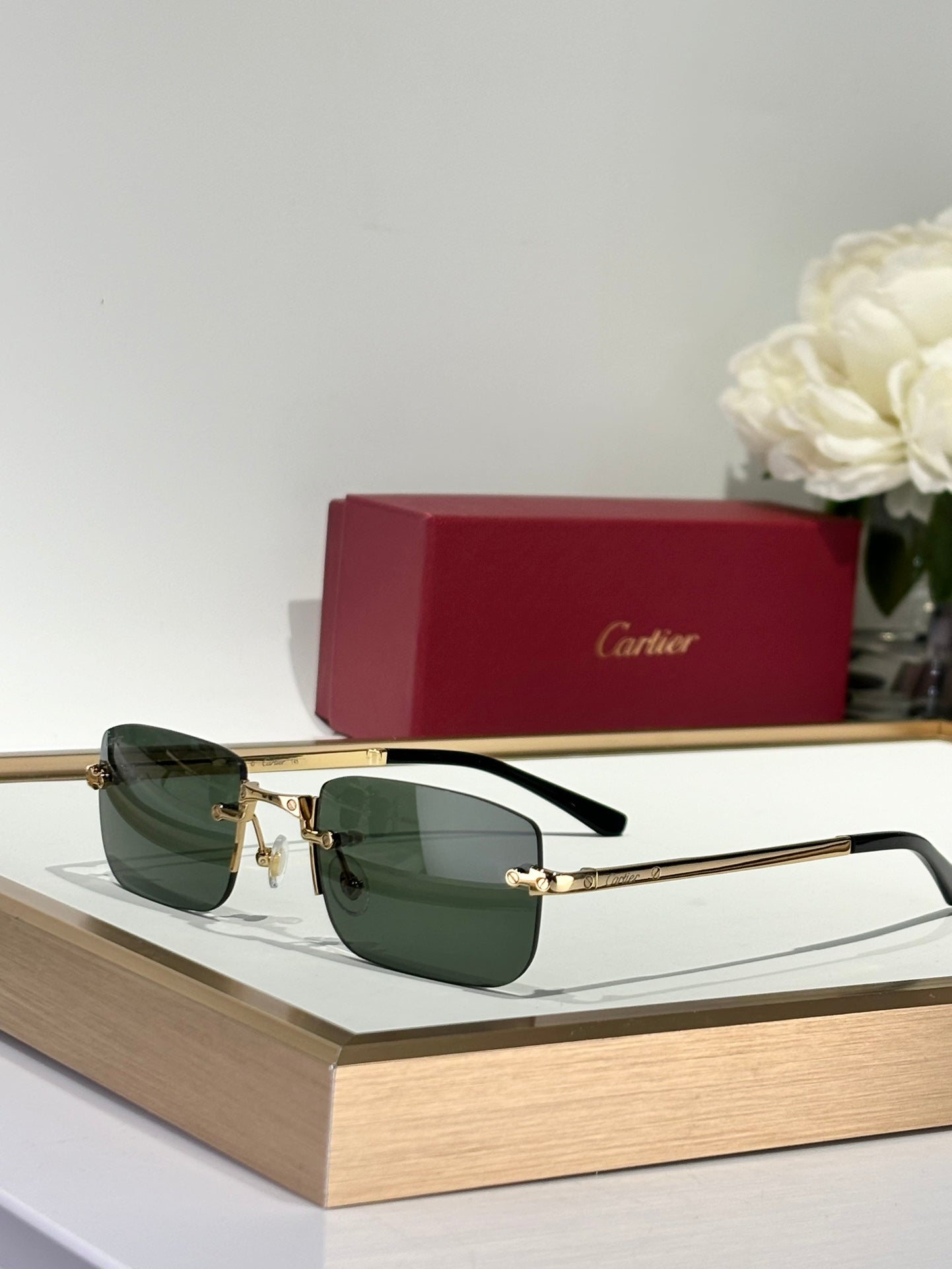 Cartier CT0479 Güneş Gözlükleri