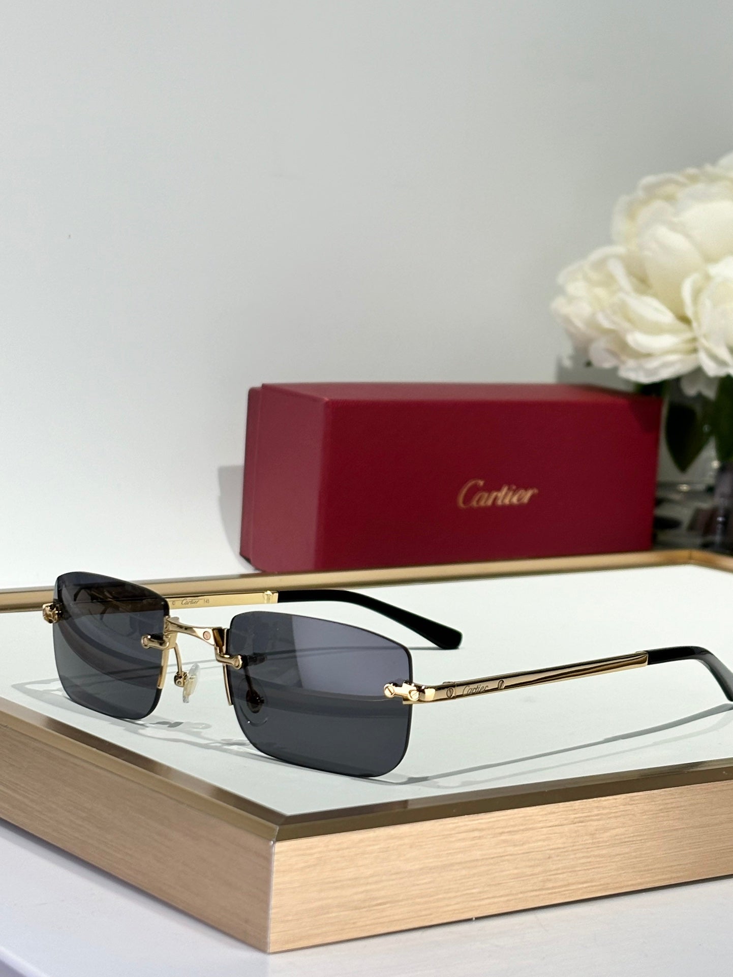 Cartier CT0479 Güneş Gözlükleri