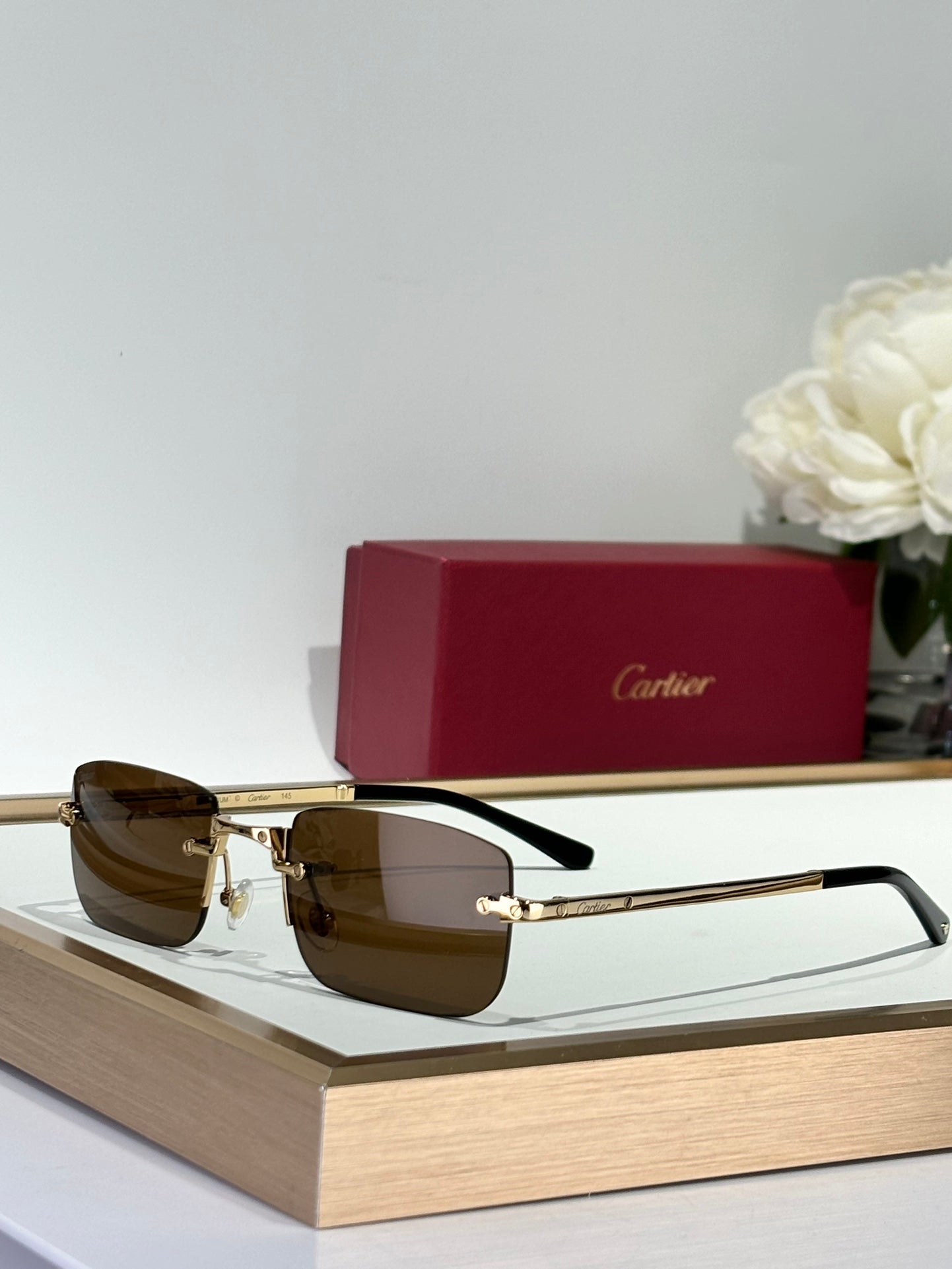 Cartier CT0479 Güneş Gözlükleri