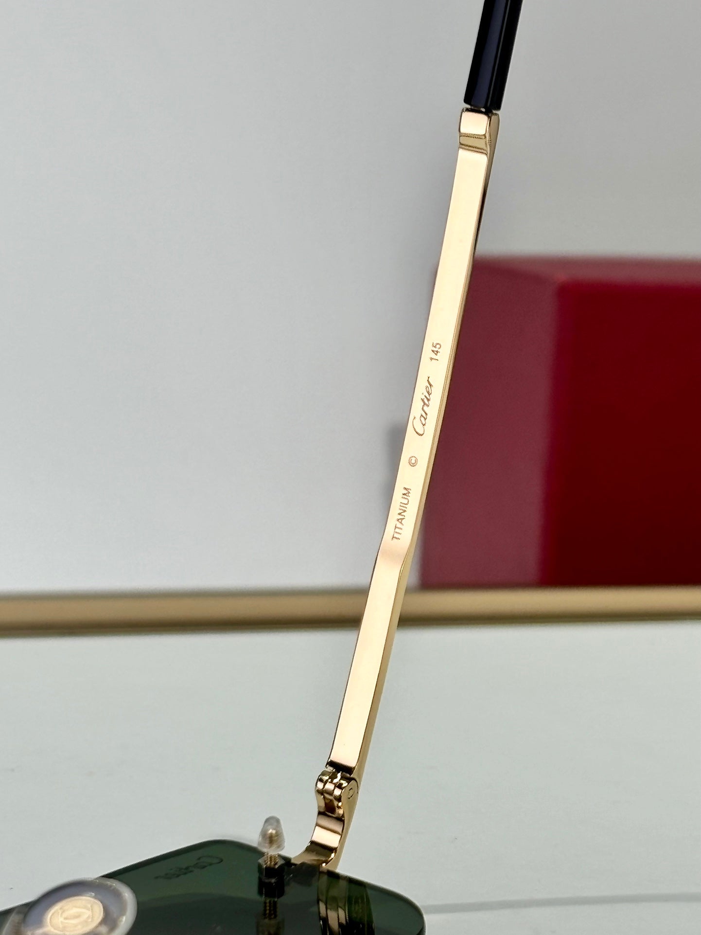 Cartier CT0479 Güneş Gözlükleri