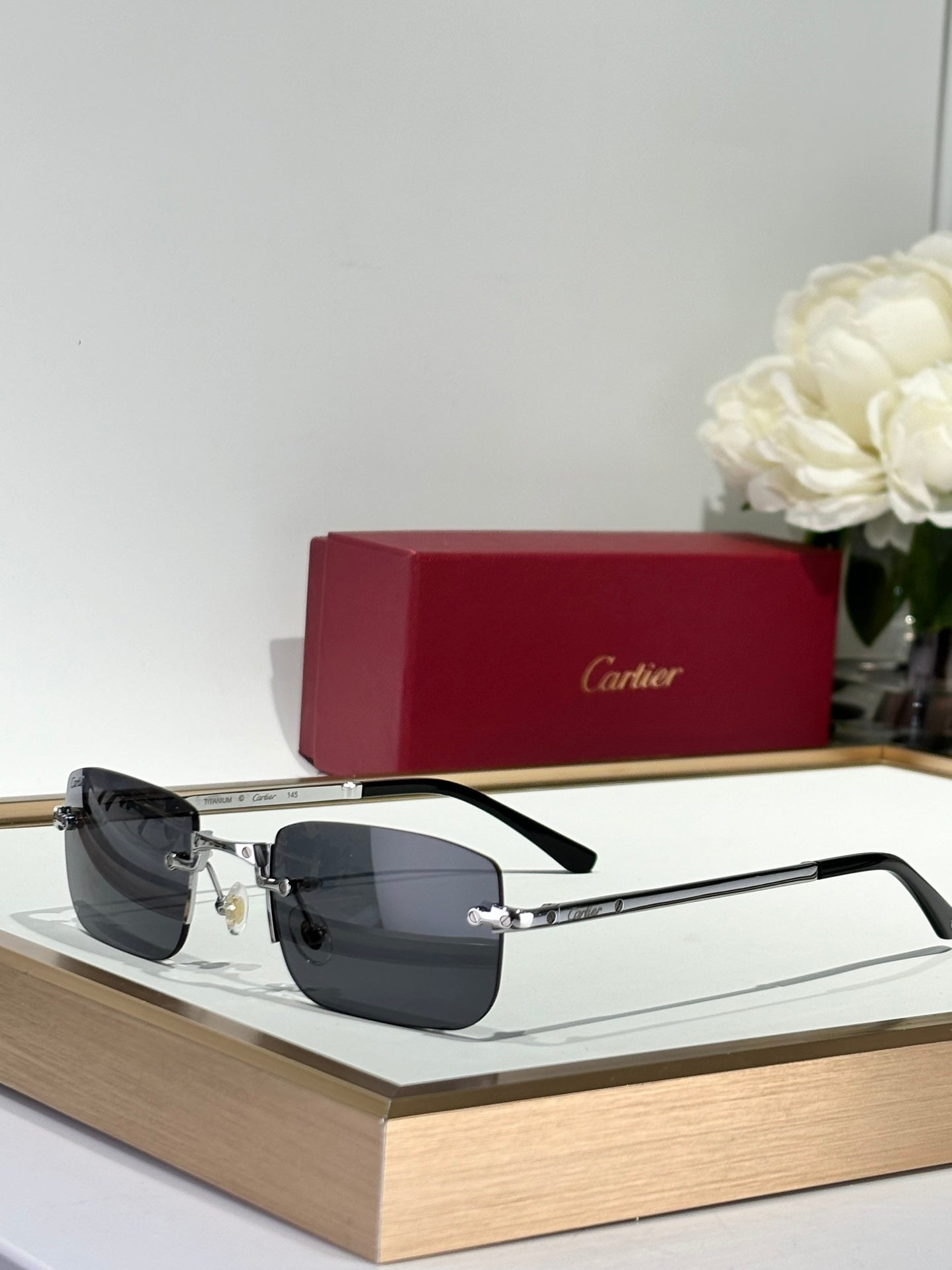 Cartier CT0479 Güneş Gözlükleri