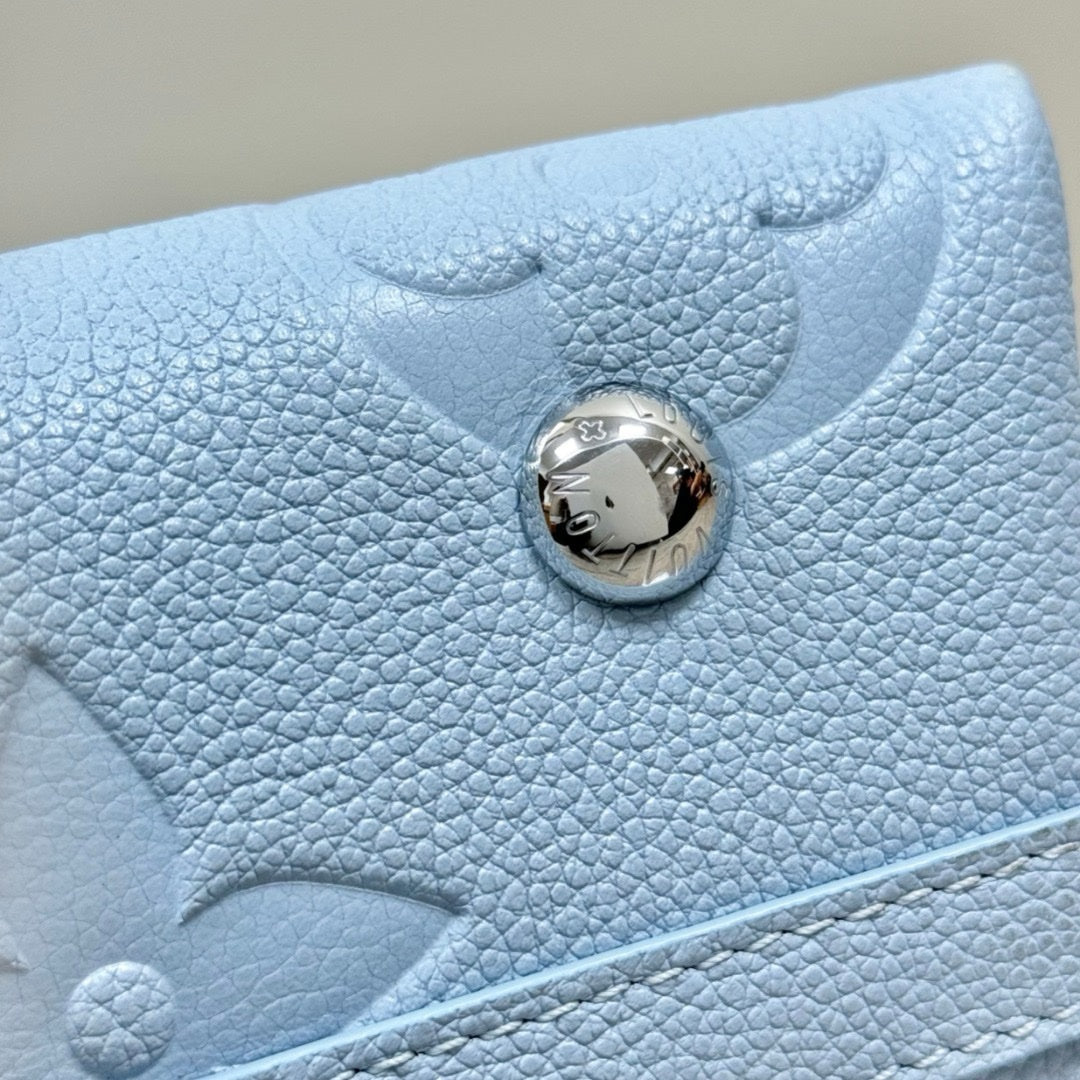 Lv Louis Vuitton Carryall PM - Glimmer of Luxury