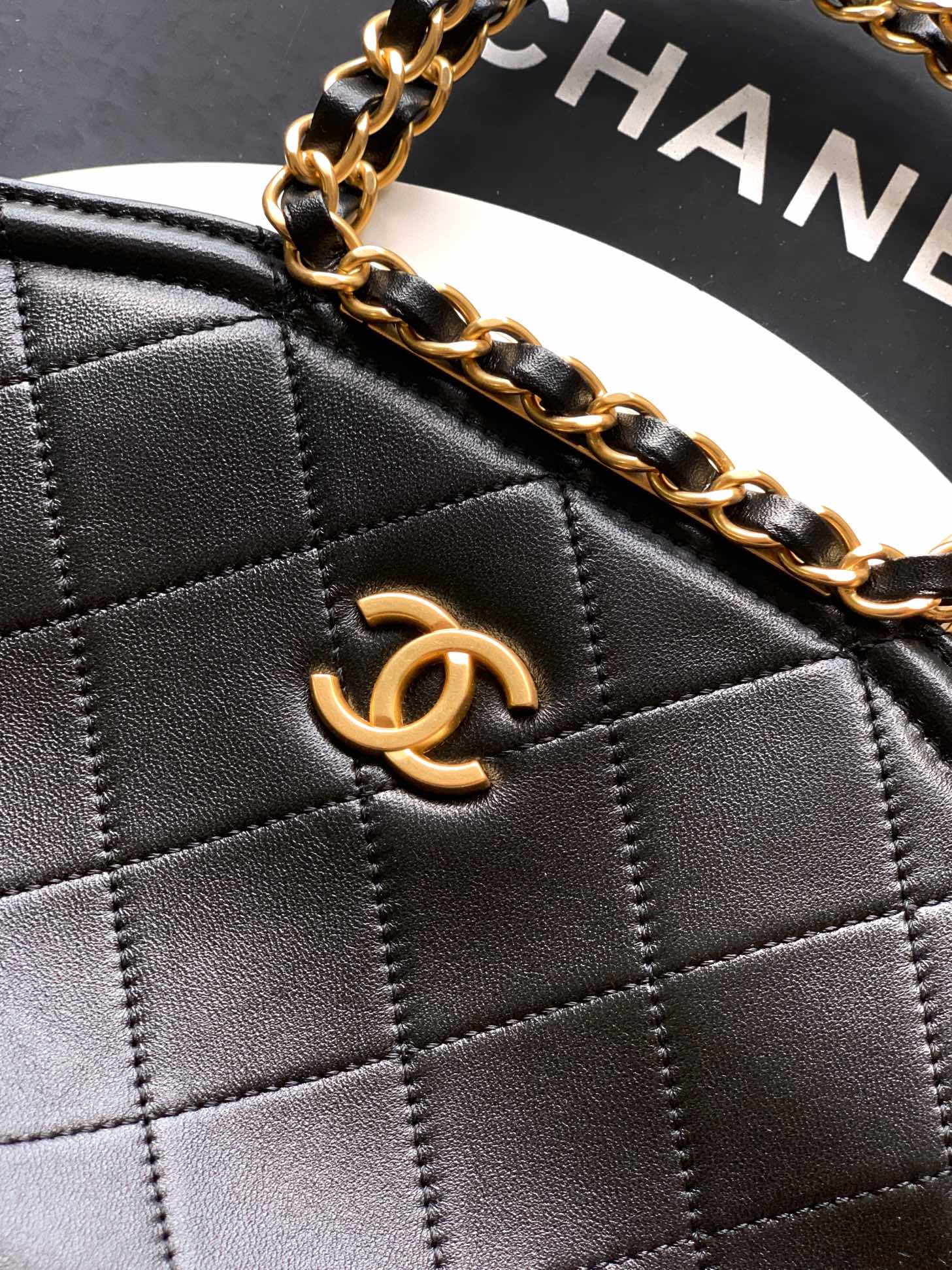 Chanel Saddlebag Classic Flap Bag