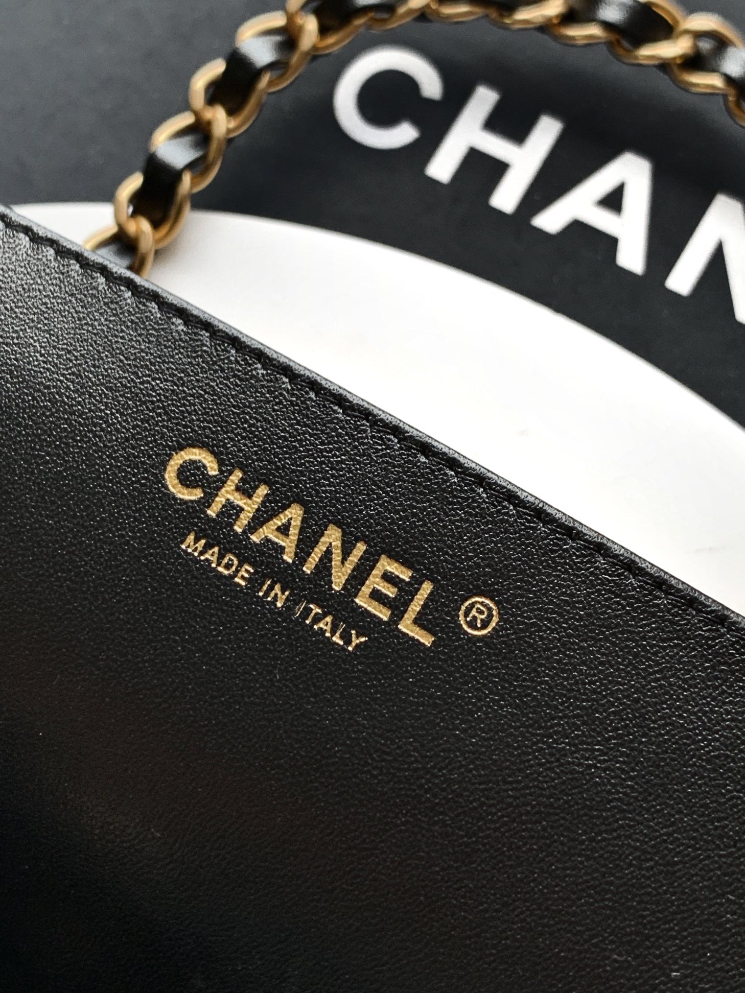 Chanel Saddlebag Classic Flap Bag