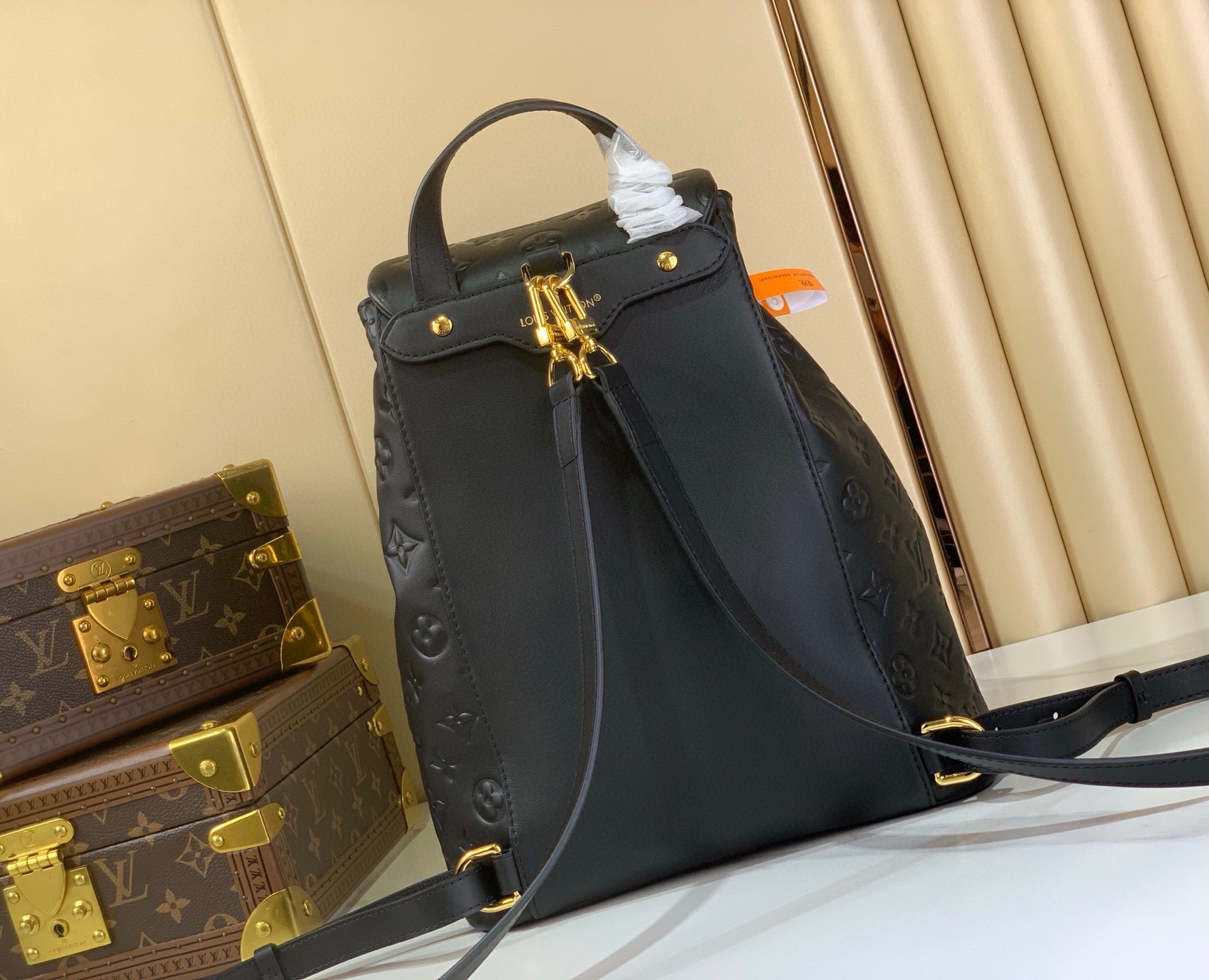 LV Coussin Sırt Çantası MM – M25508 Siyah