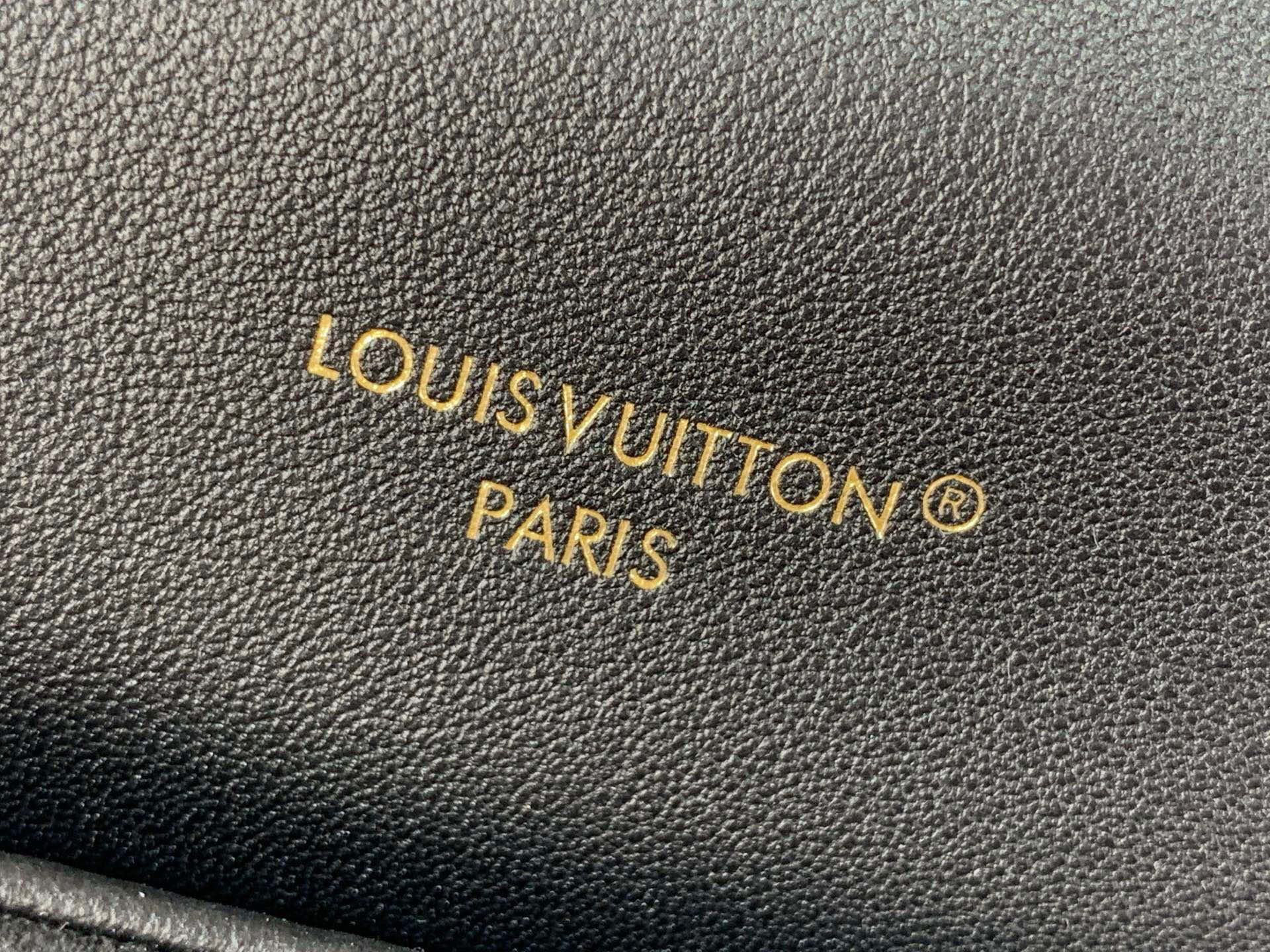 LV Coussin Sırt Çantası MM – M25508 Siyah