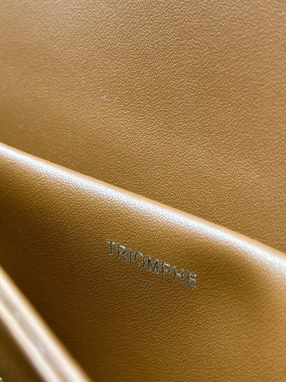 CELINE Kanvas ve Dana Derisinden Klasik Triomphe Çanta - Glimmer of Luxury