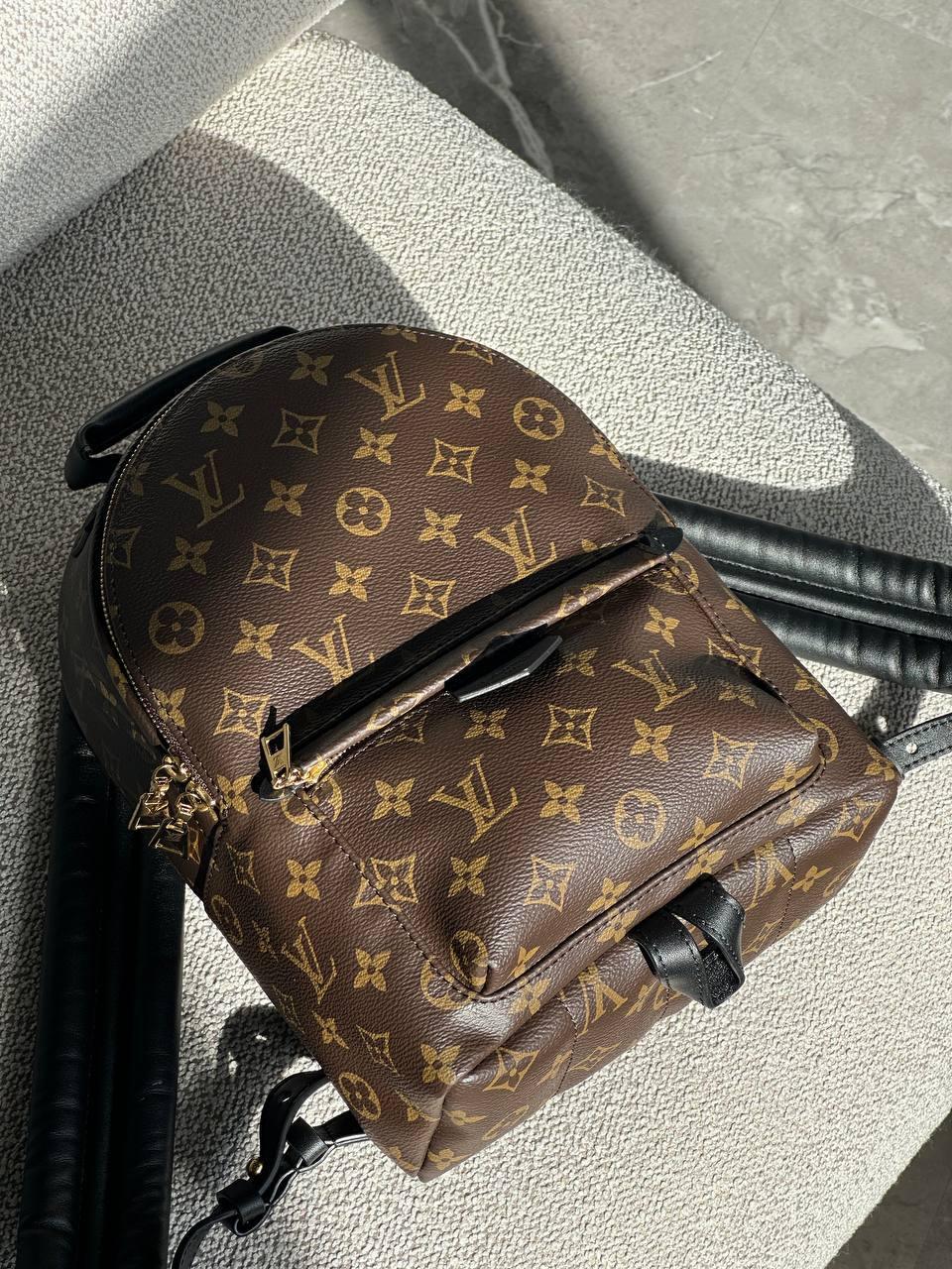 Louis Vuitton Palm Springs Mini Monogram Kanvas Çanta - Glimmer of Luxury